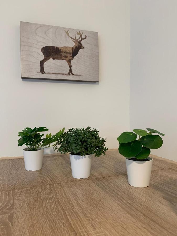 Koblenz City Rooms, Wifi, Netflix Ngoại thất bức ảnh
